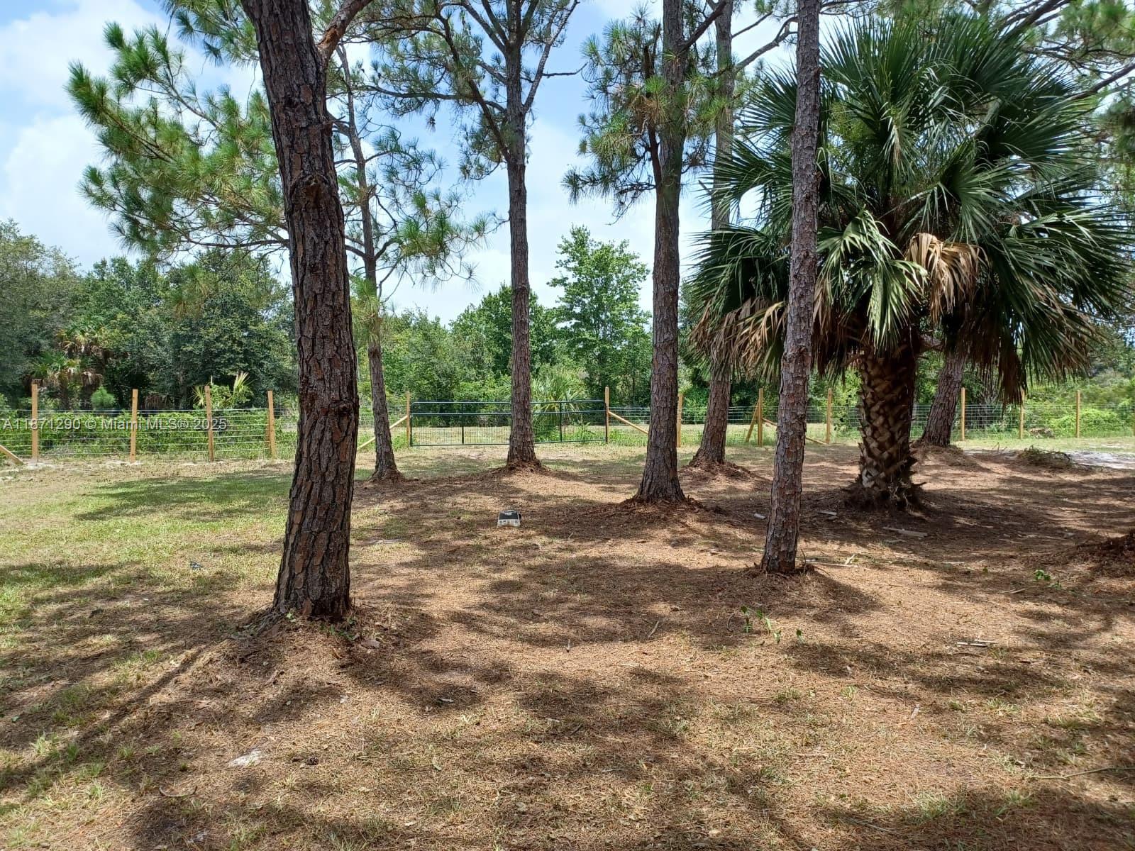 See details / sq. ft. $ 2025-09-03 0 Photo