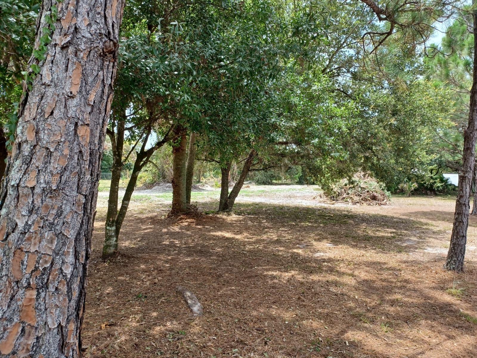 See details / sq. ft. $ 2025-09-03 0 Photo