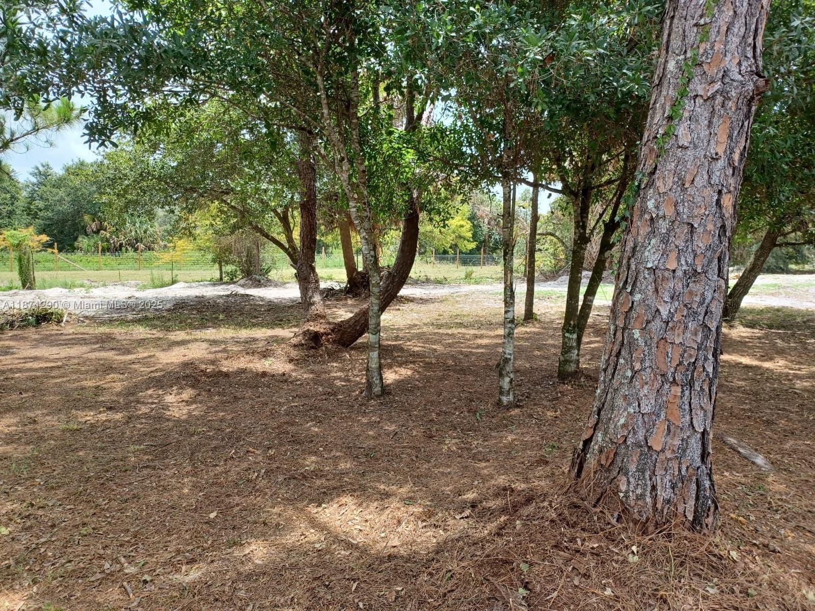 See details / sq. ft. $ 2025-09-03 0 Photo