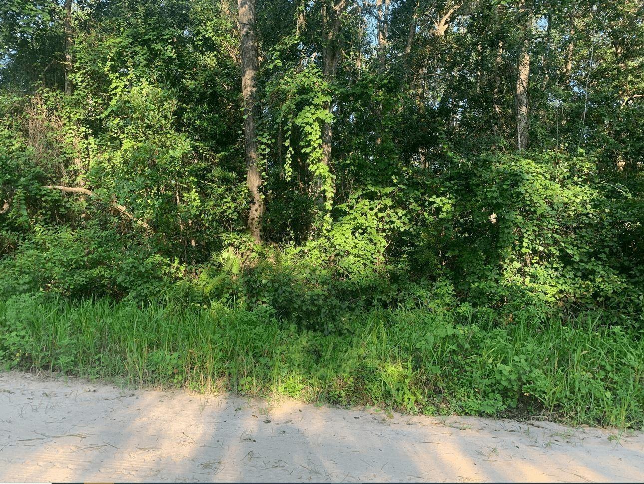   / 0  sq. ft. $ 2026-06-19 0 Photo