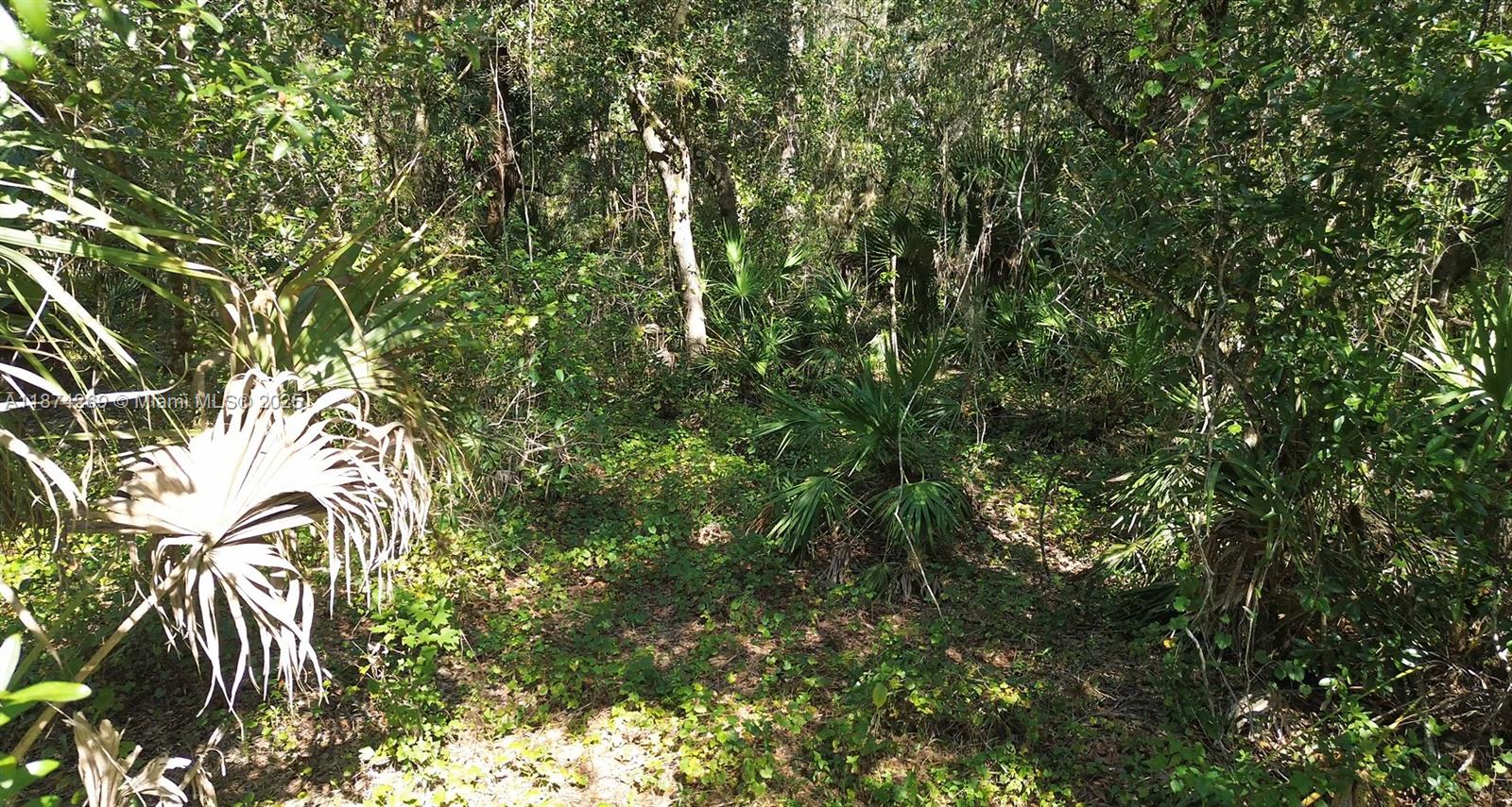   /   sq. ft. $ 2025-09-08 0 Photo