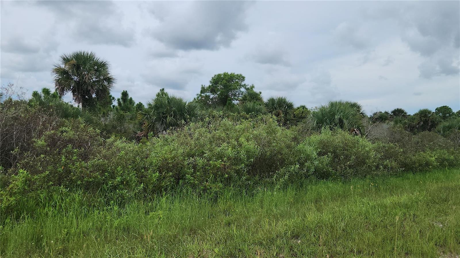   / 0  sq. ft. $ 2026-06-06 0 foto