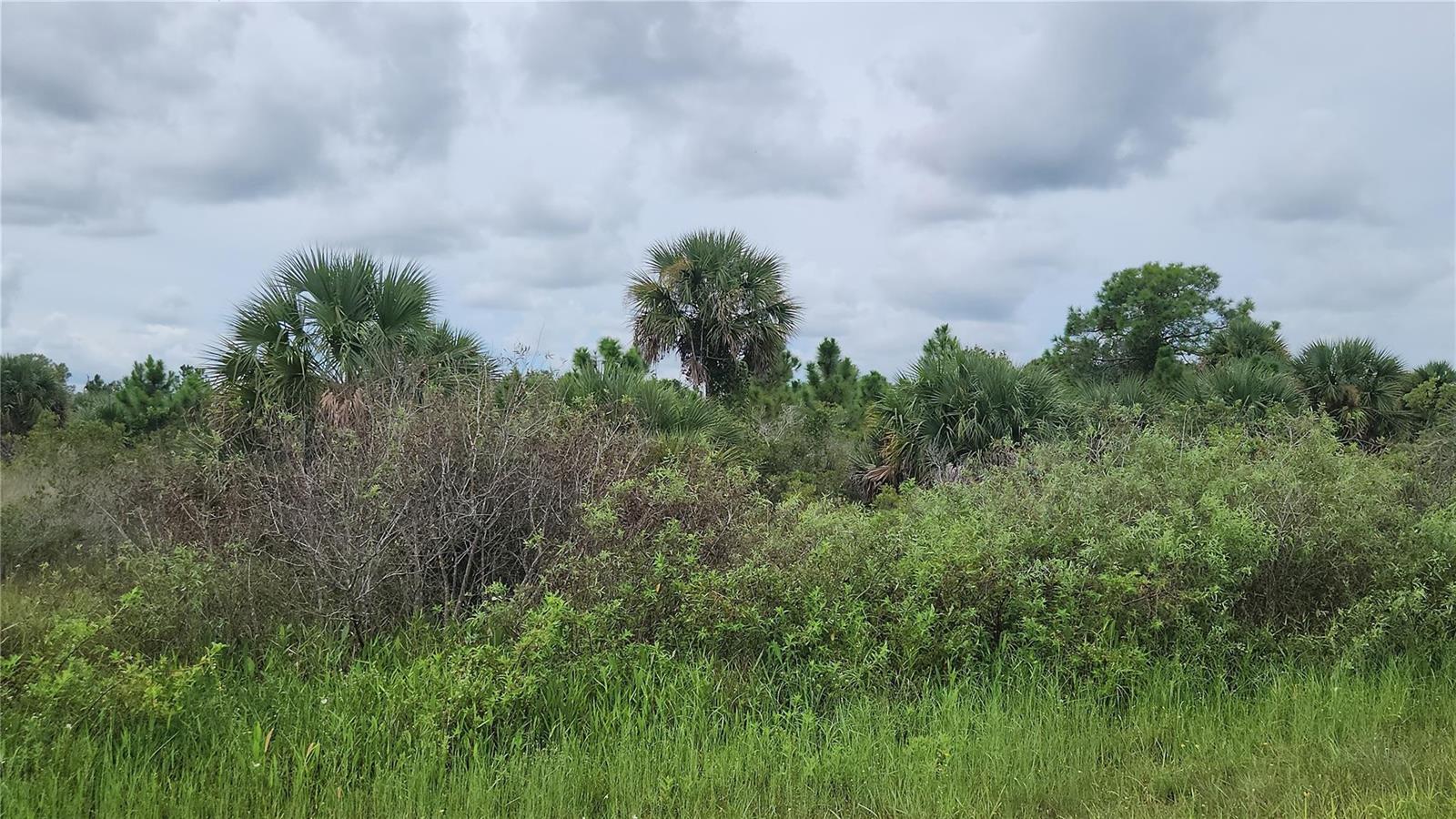   / 0  sq. ft. $ 2026-06-06 0 foto