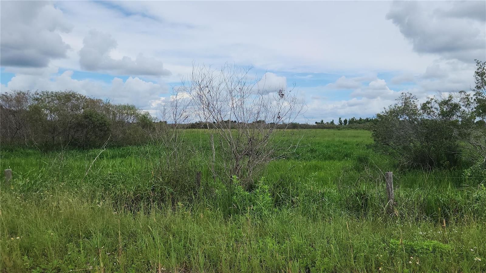   / 0  sq. ft. $ 2026-06-06 0 foto