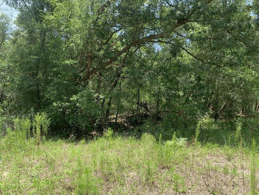 See details / 0 sq. ft. $ 2026-06-19 0 Photo