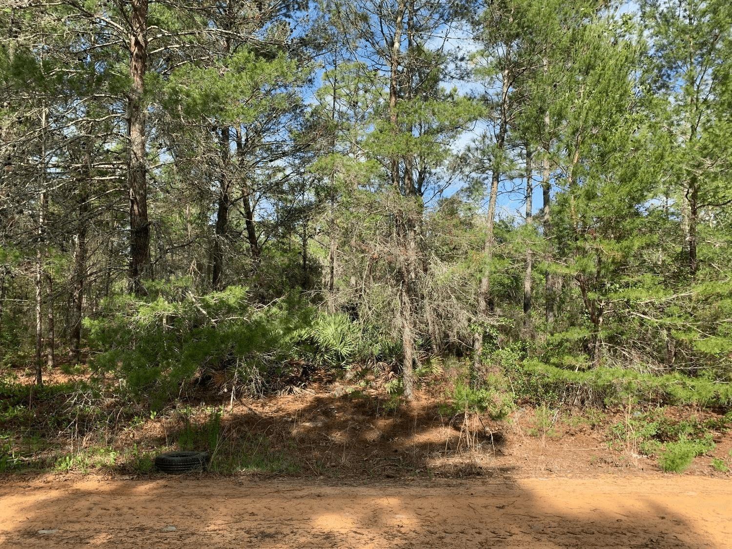  / 0  sq. ft. $ 2026-06-19 0 foto
