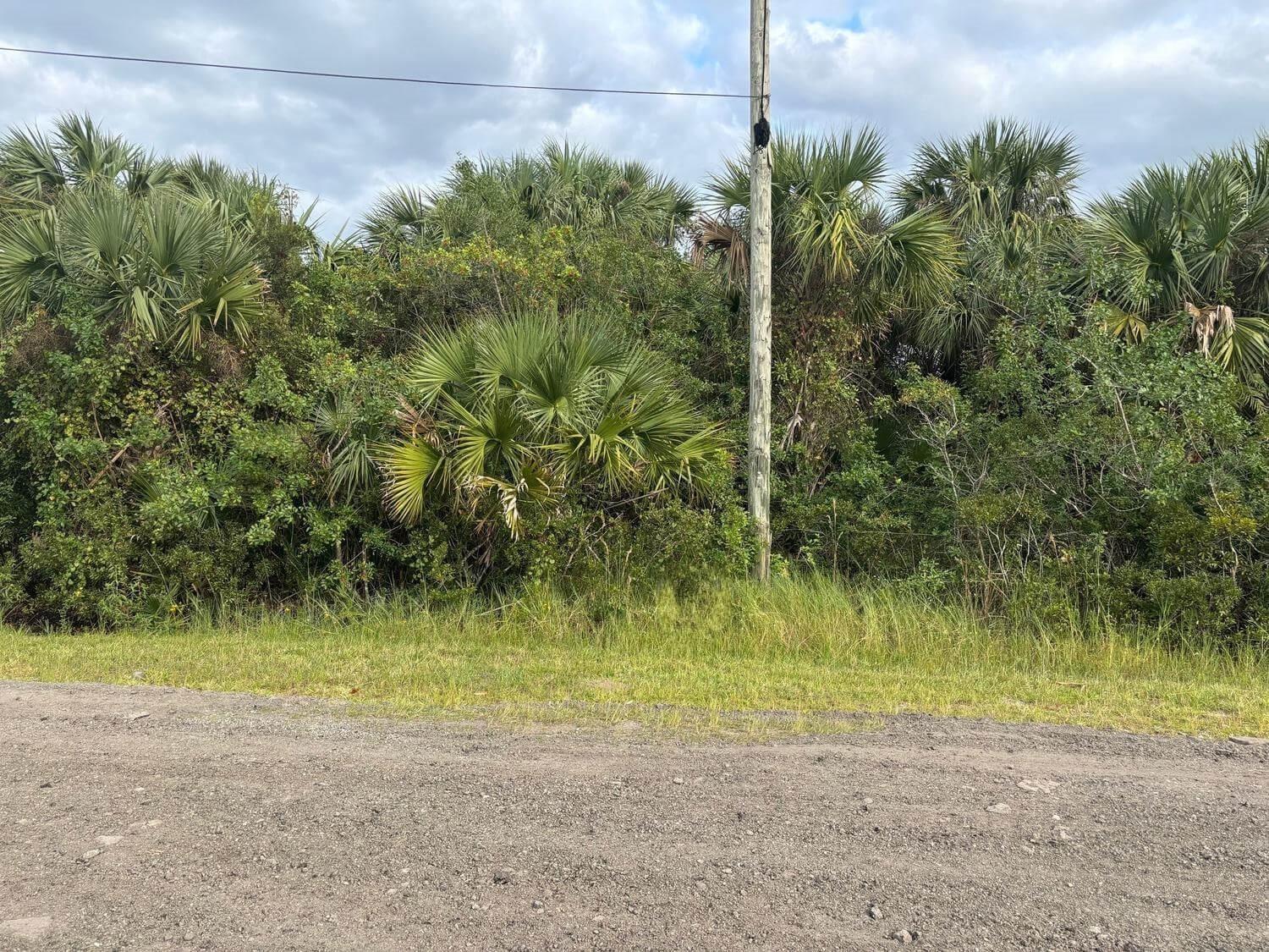   / 0  sq. ft. $ 2026-06-15 0 foto