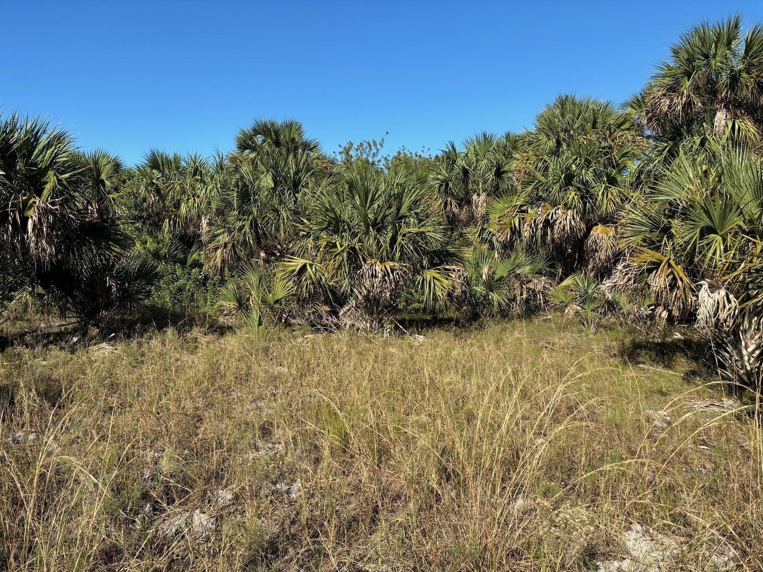   / 0  sq. ft. $ 2026-06-15 0 foto