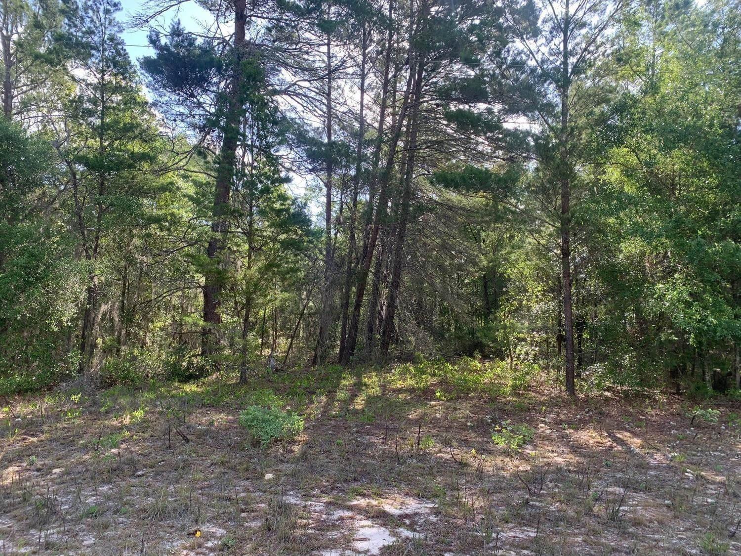   / 0  sq. ft. $ 2026-06-19 0 foto