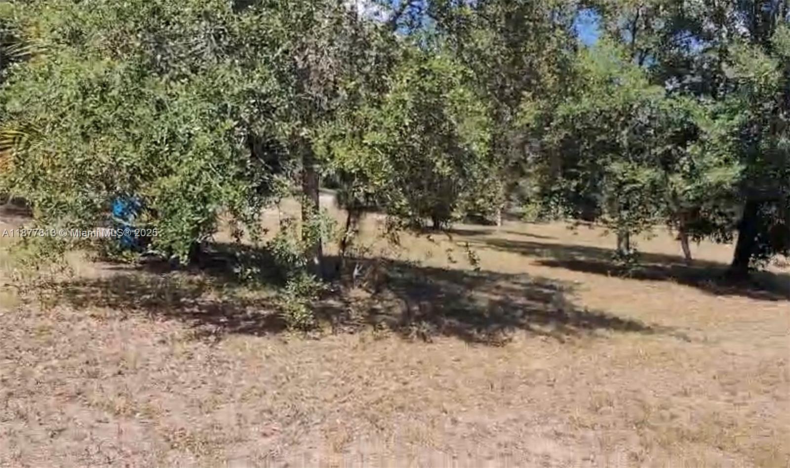 See details / sq. ft. $ 2025-09-12 0 Photo