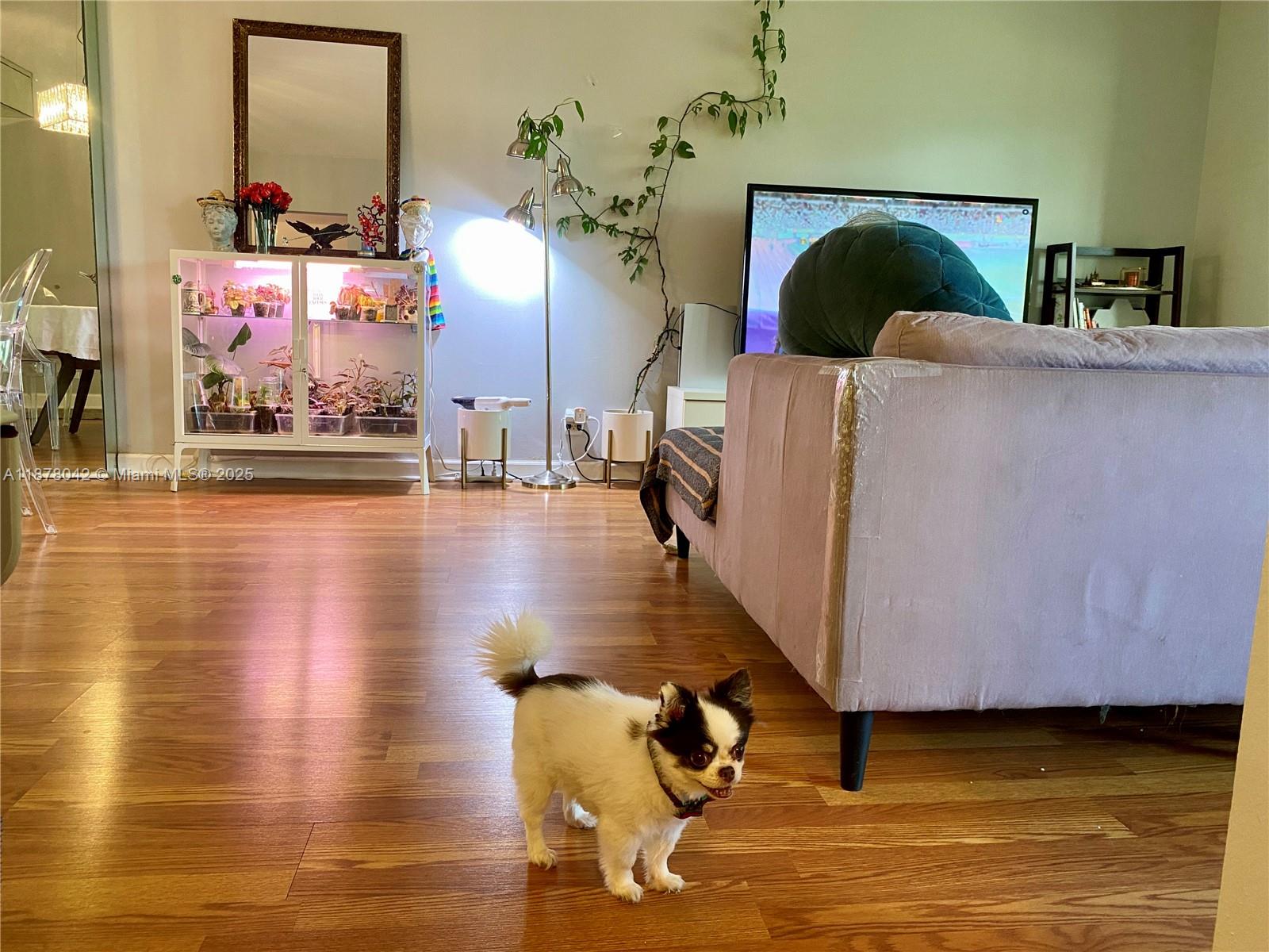 303 2 / 2 1132 sq. ft. $ 2025-09-13 0 Photo