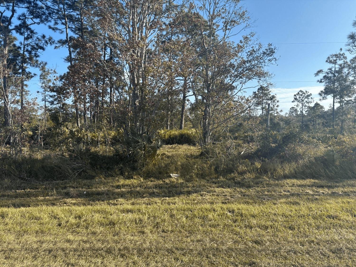   / 0  sq. ft. $ 2026-06-15 0 foto