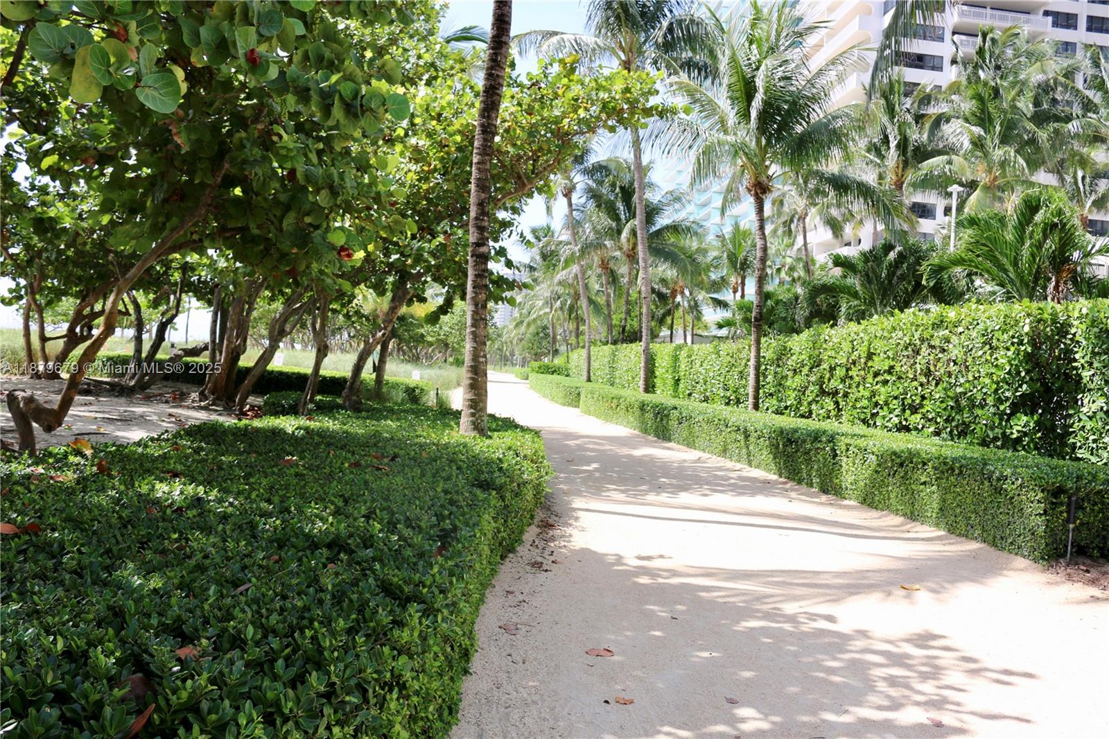 Photo of 9801 Collins Ave  #8N Ocean Views, Bal Harbour, Florida, 33154 - Bal Harbour beach walking or running pad