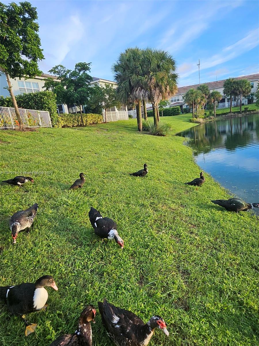 1422 3 / 3 1824 sq. ft. $ 2025-09-16 0 Photo