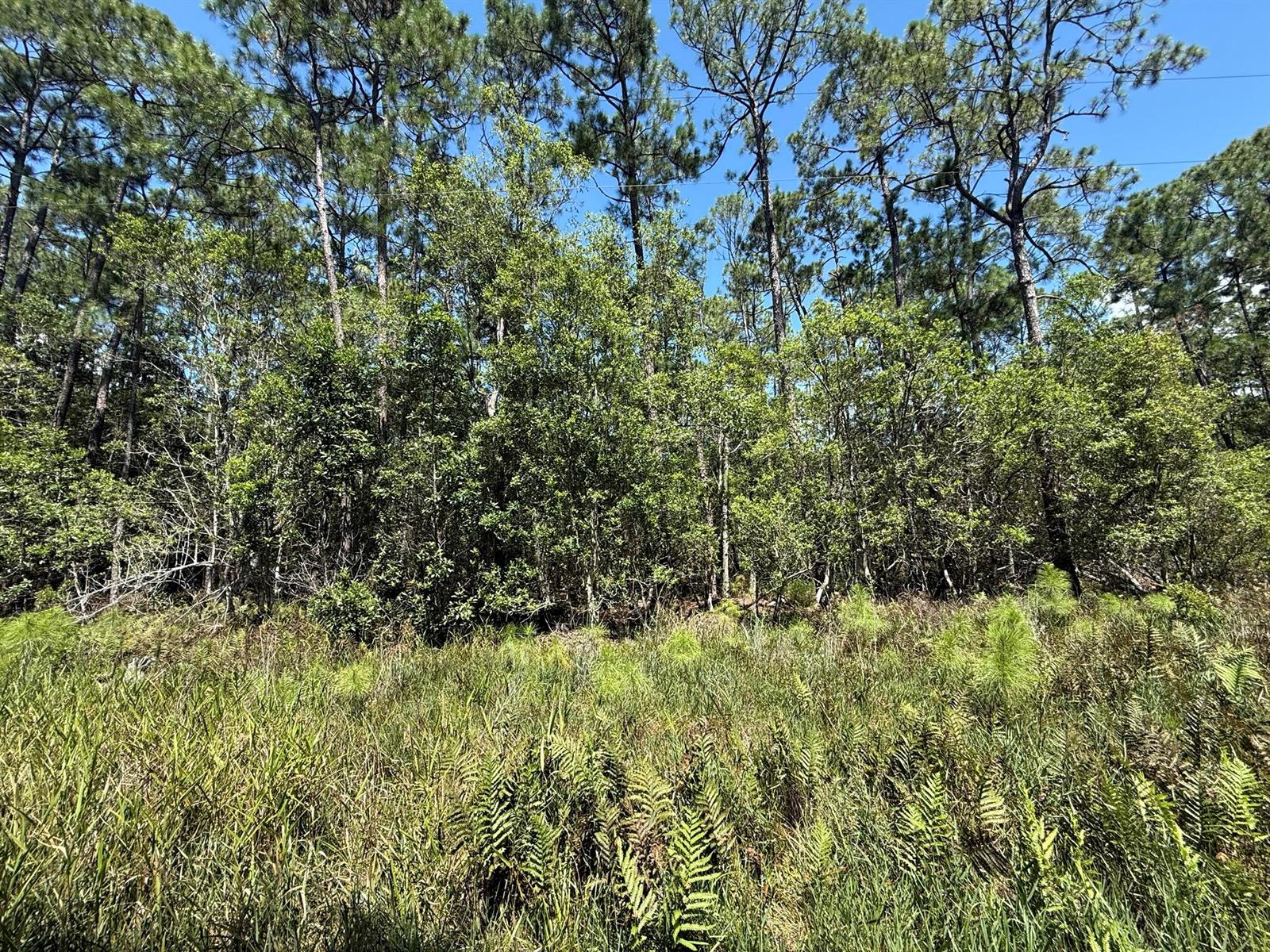   / 0  sq. ft. $ 2025-11-19 0 foto