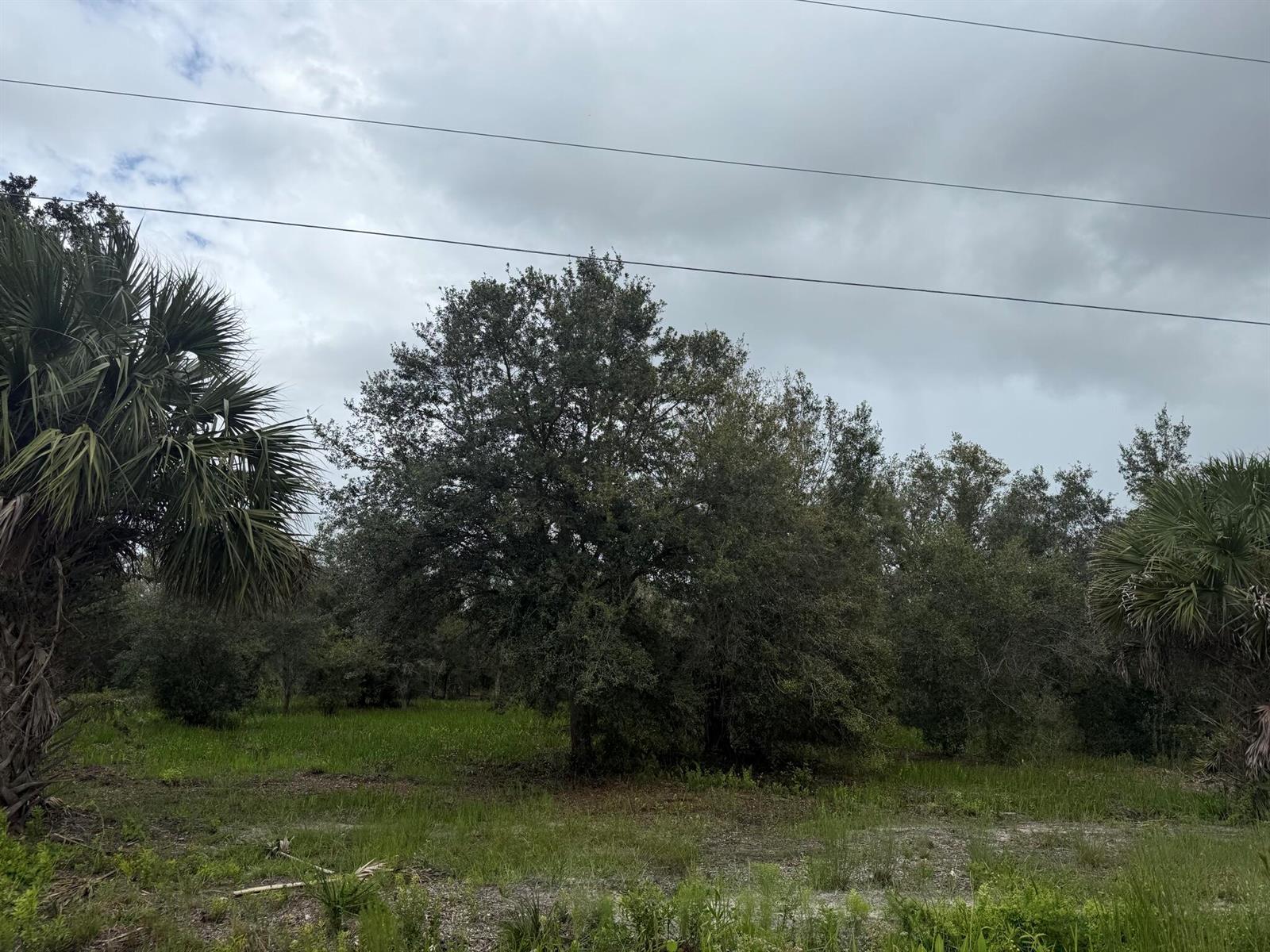   / 0  sq. ft. $ 2026-04-01 0 foto