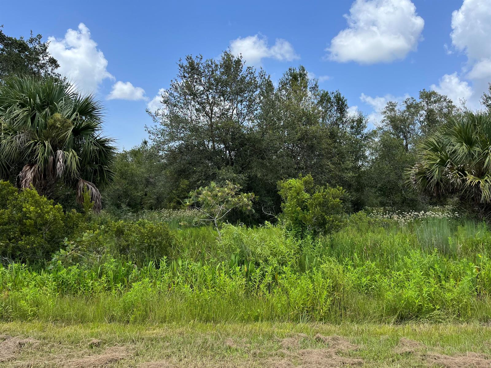   / 0  sq. ft. $ 2026-04-01 0 foto