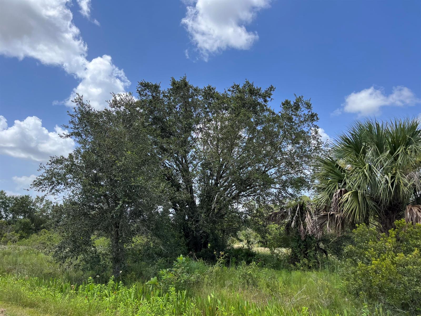   / 0  sq. ft. $ 2026-04-01 0 foto