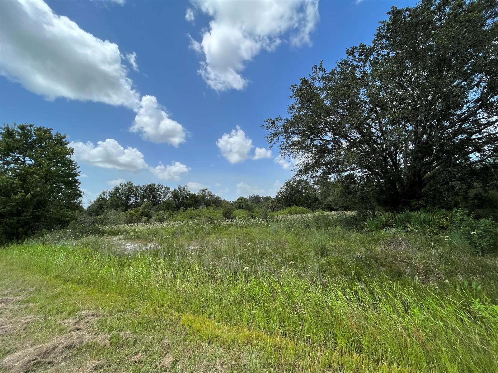   / 0  sq. ft. $ 2026-04-01 0 foto