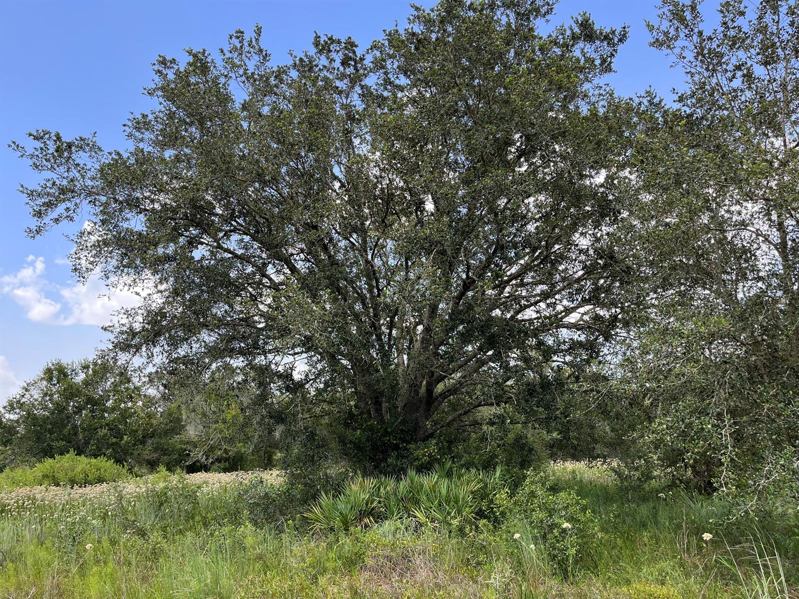   / 0  sq. ft. $ 2026-04-01 0 foto