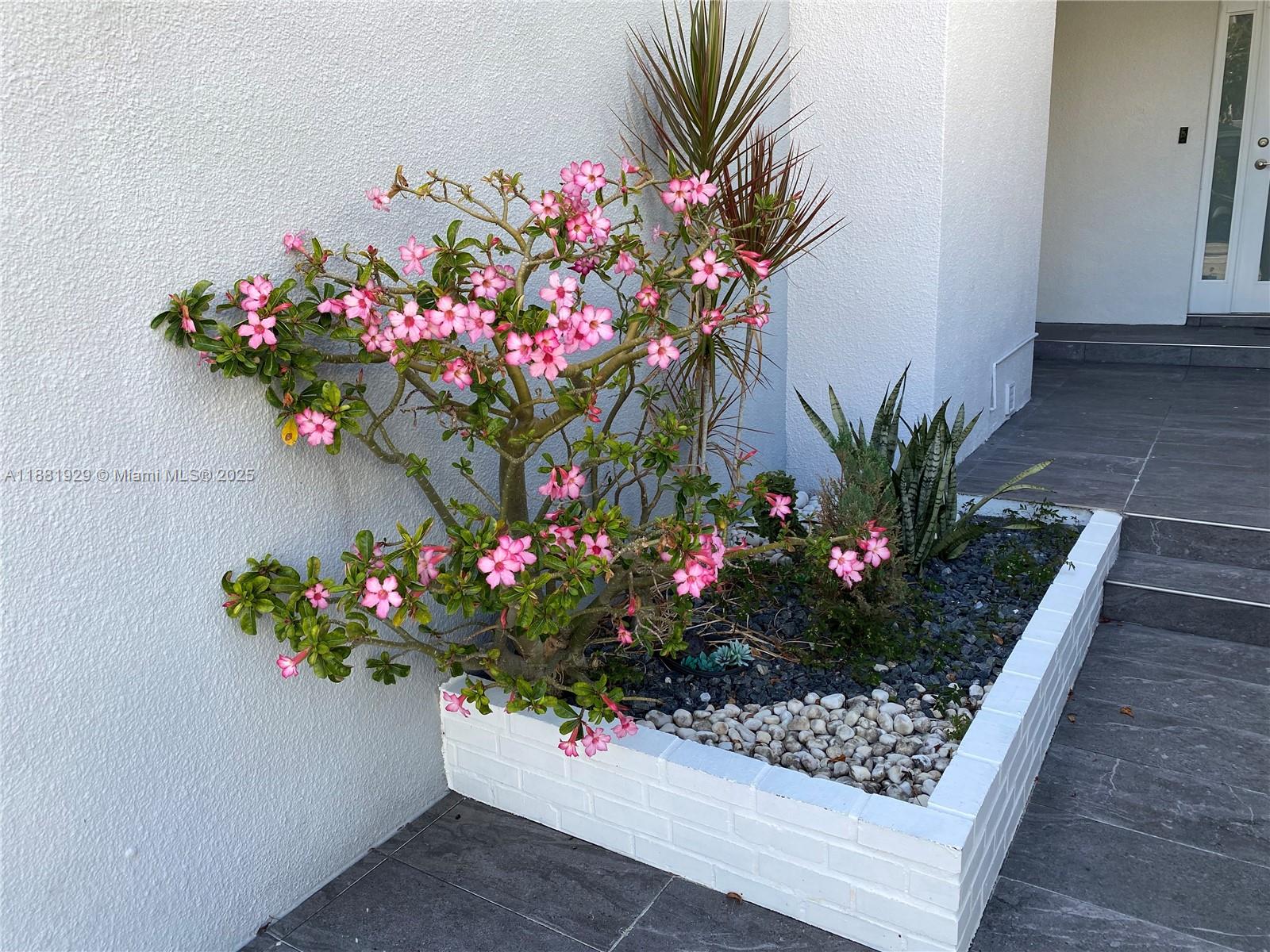 Photo of 231 Poinciana Dr  #401, Sunny Isles Beach, Florida, 33160 - 