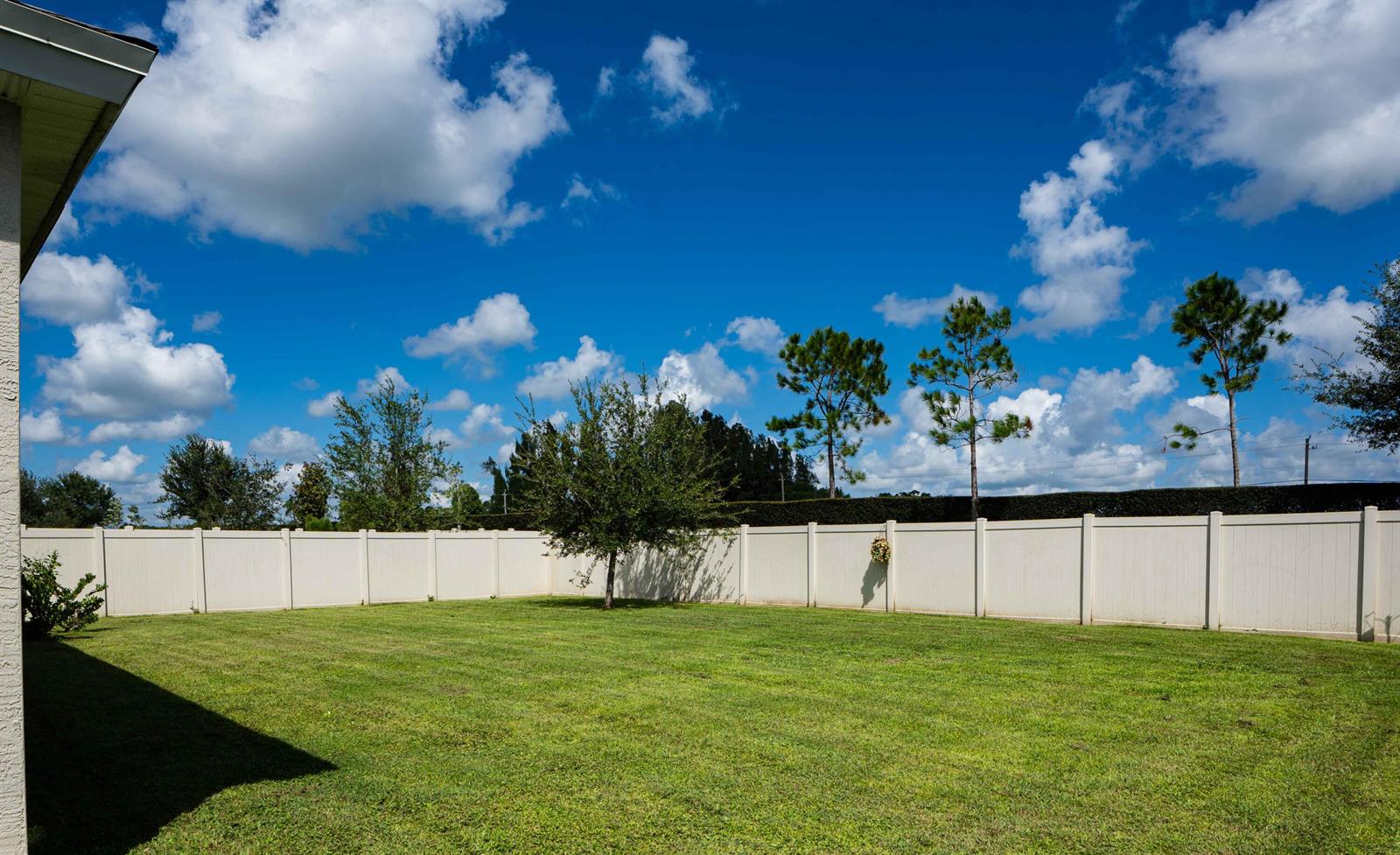 See details 8620 3 / 2 1672 sq. ft. $ 2026-09-03 0 Photo