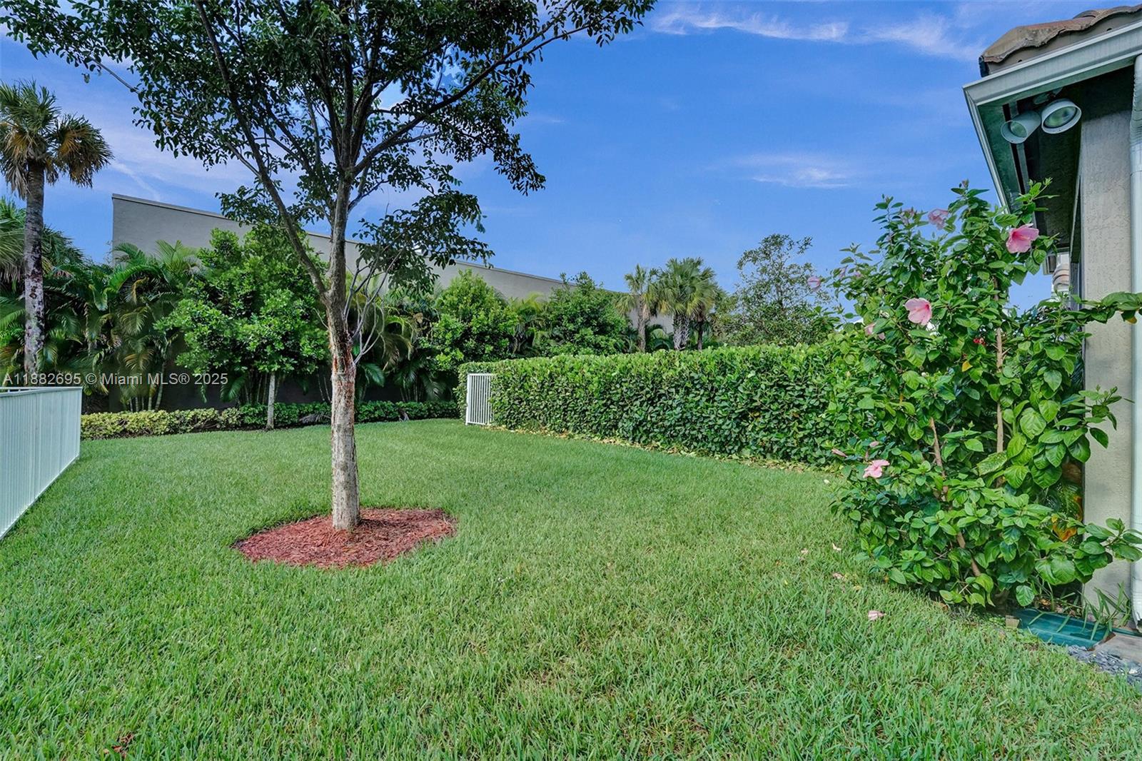 4764 3 / 3 1780 sq. ft. $ 2025-09-22 0 Photo