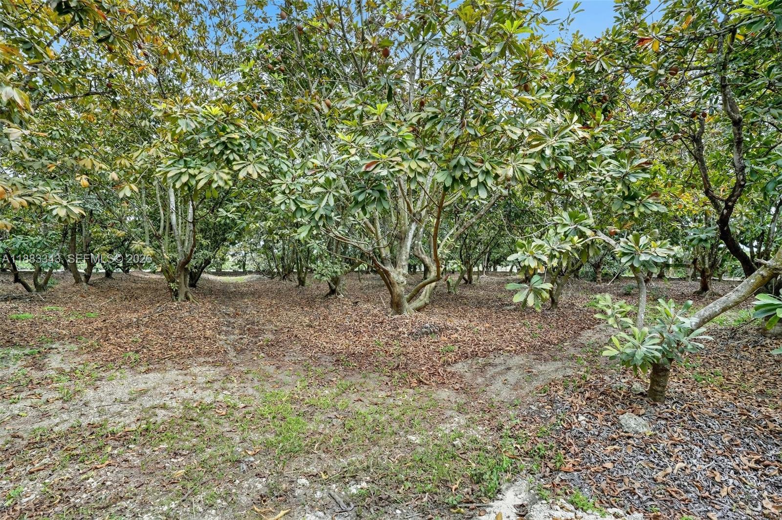   /   sq. ft. $ 2026-02-19 0 Photo