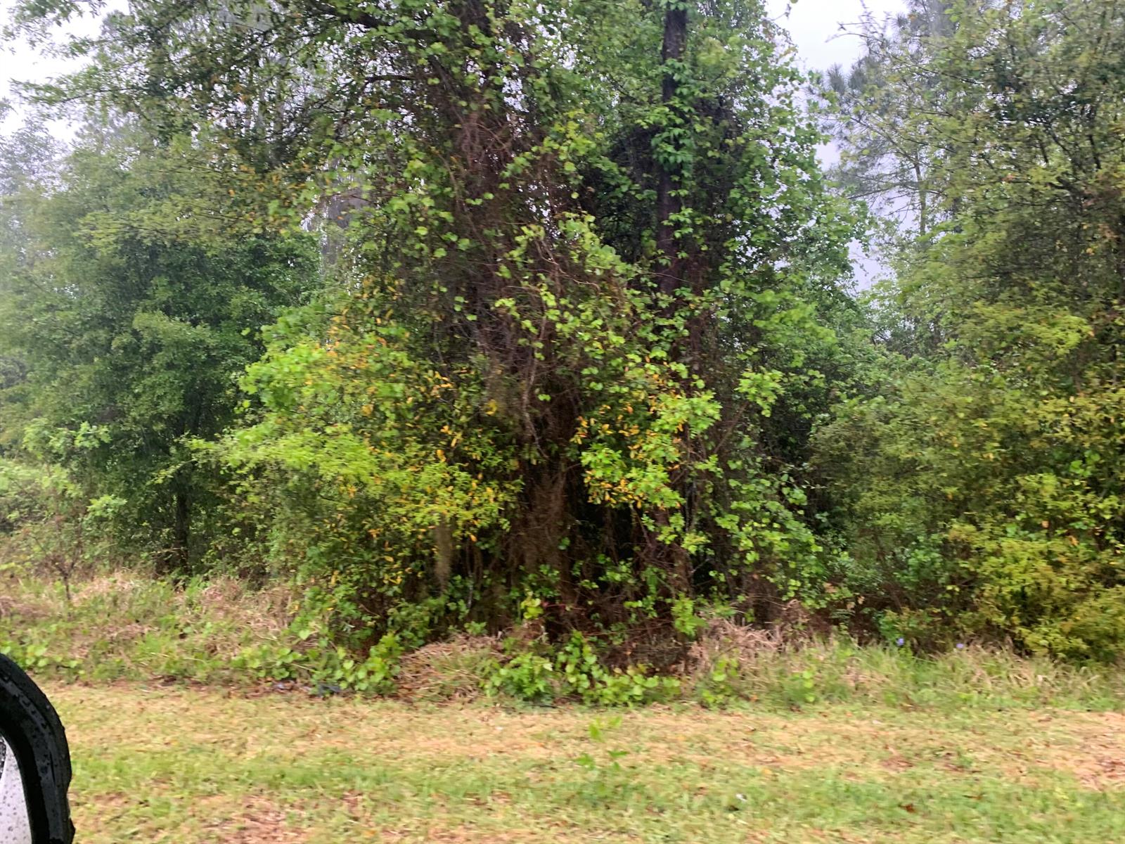   / 0  sq. ft. $ 2026-02-06 0 foto