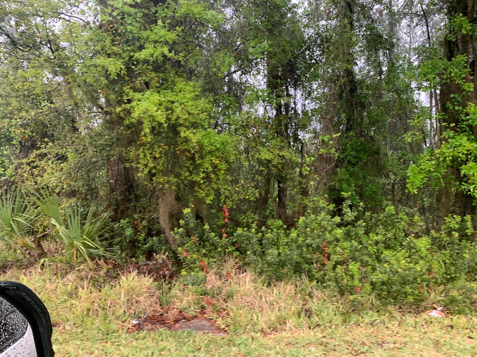   / 0  sq. ft. $ 2026-02-06 0 foto