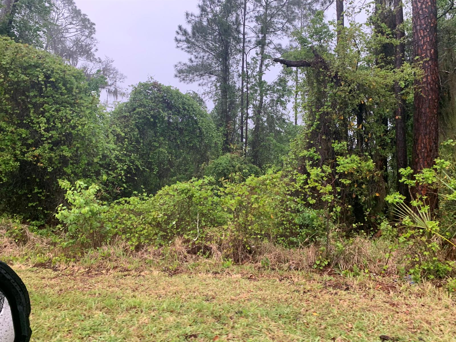   / 0  sq. ft. $ 2026-02-06 0 foto