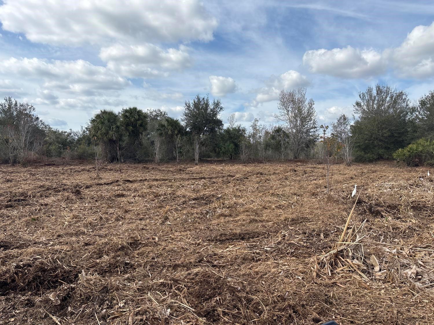   / 0  sq. ft. $ 2026-06-15 0 foto