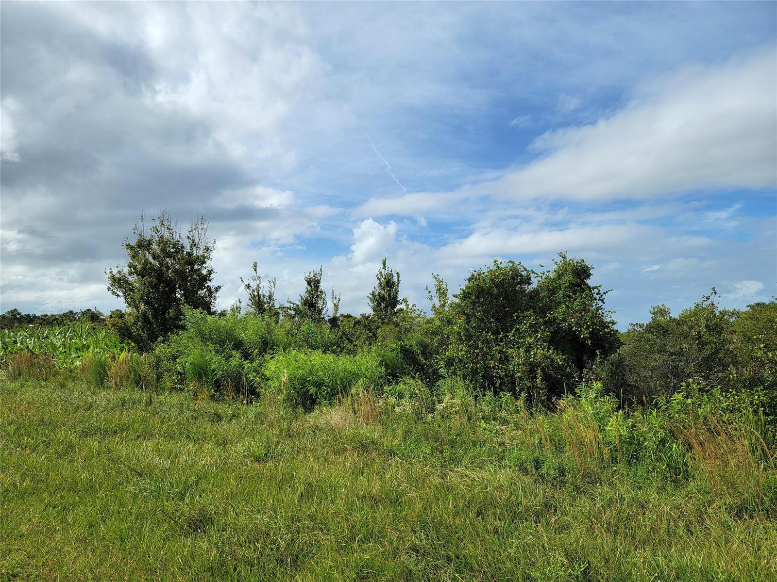   / 0  sq. ft. $ 2026-06-15 0 foto