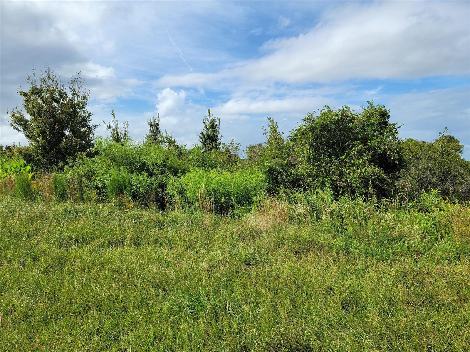   / 0  sq. ft. $ 2026-06-15 0 foto