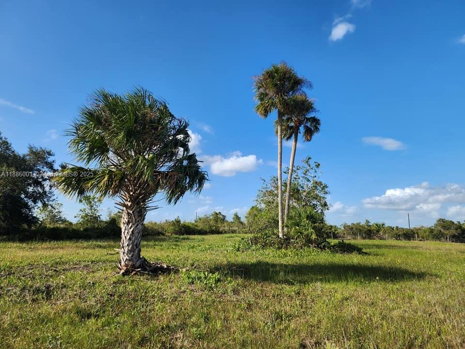   /   sq. ft. $ 2025-09-27 0 Photo