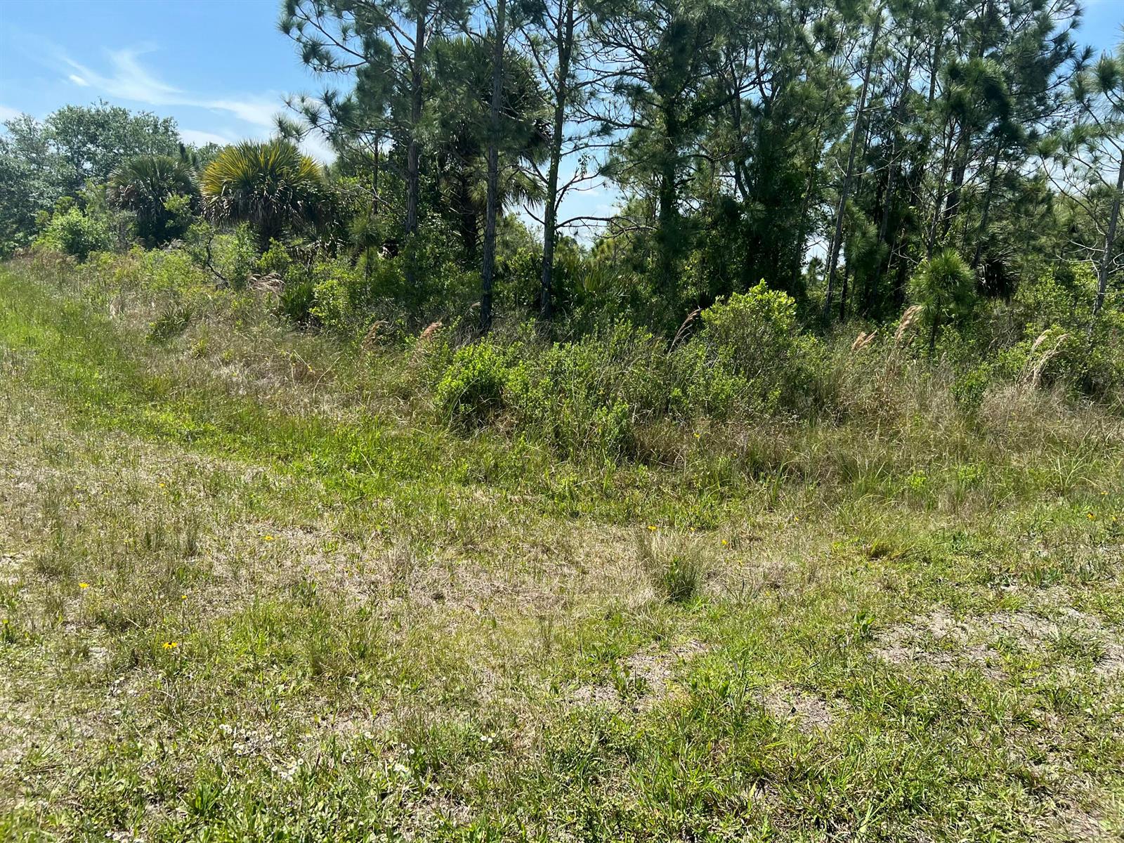   / 0  sq. ft. $ 2025-12-06 0 foto