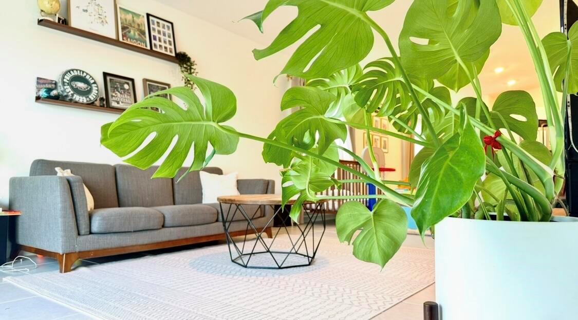 Ver detalles 612 3 / 2 1451 sq. ft. $ 2026-01-28 0 foto