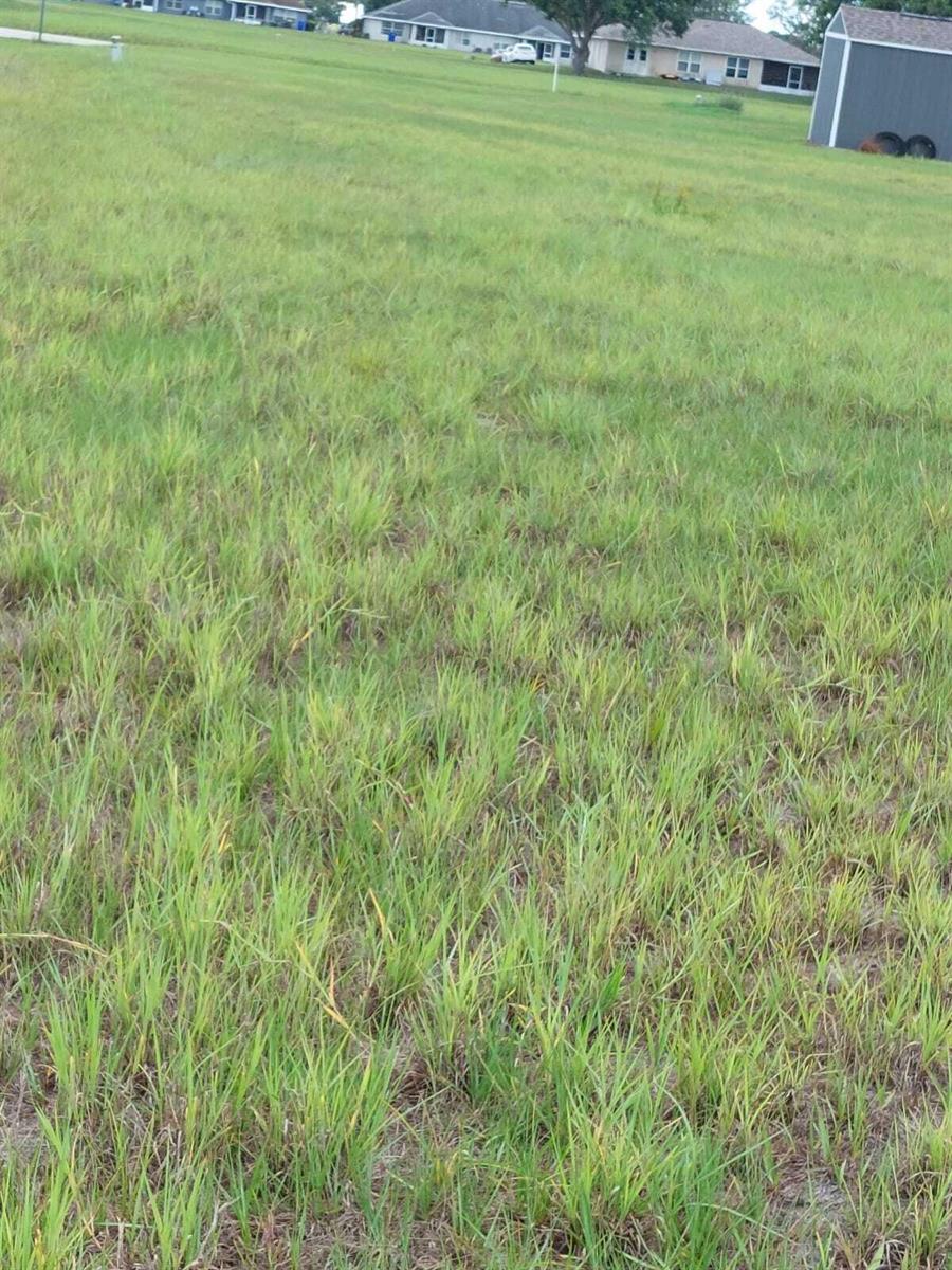 See details / 0 sq. ft. $ 2026-03-21 0 Photo
