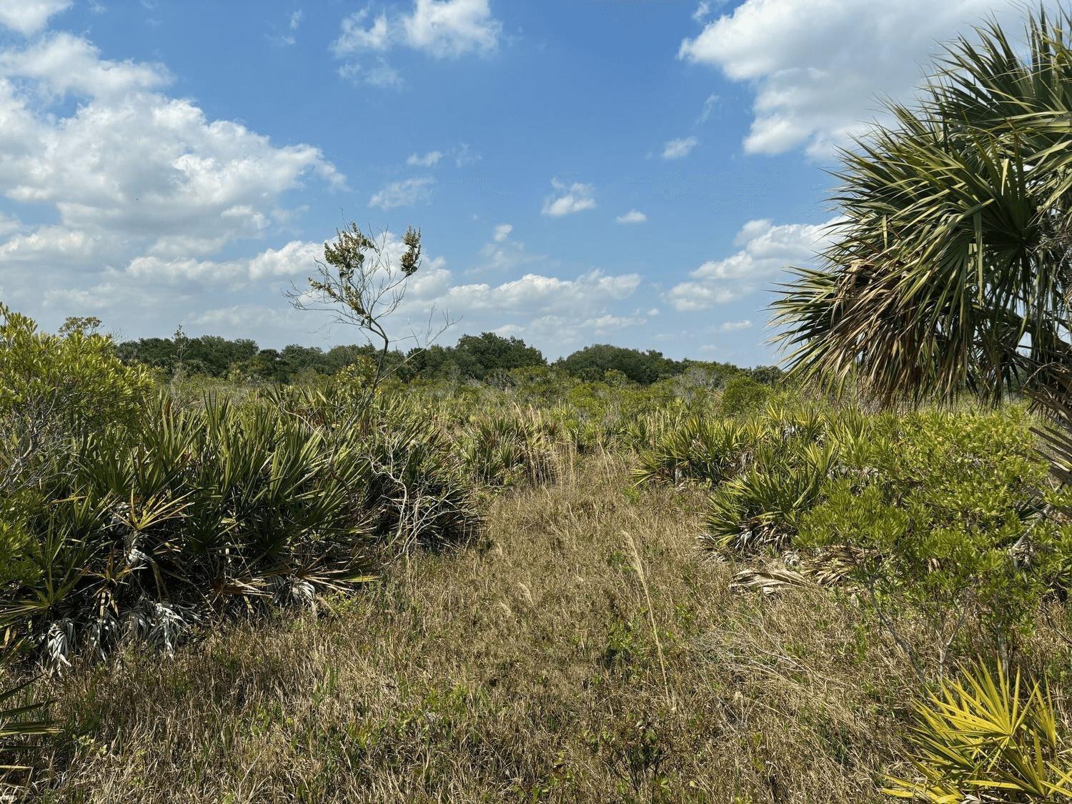   / 0  sq. ft. $ 2026-06-15 0 foto