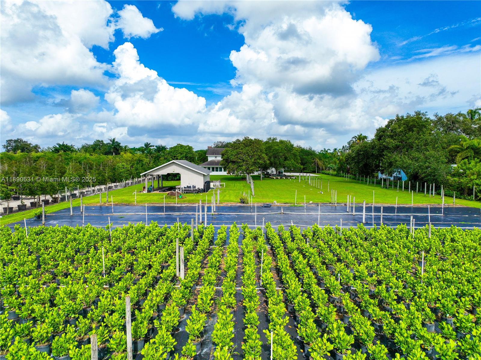 Подробнее / кв.футов $ 2025-10-05 0 Фото