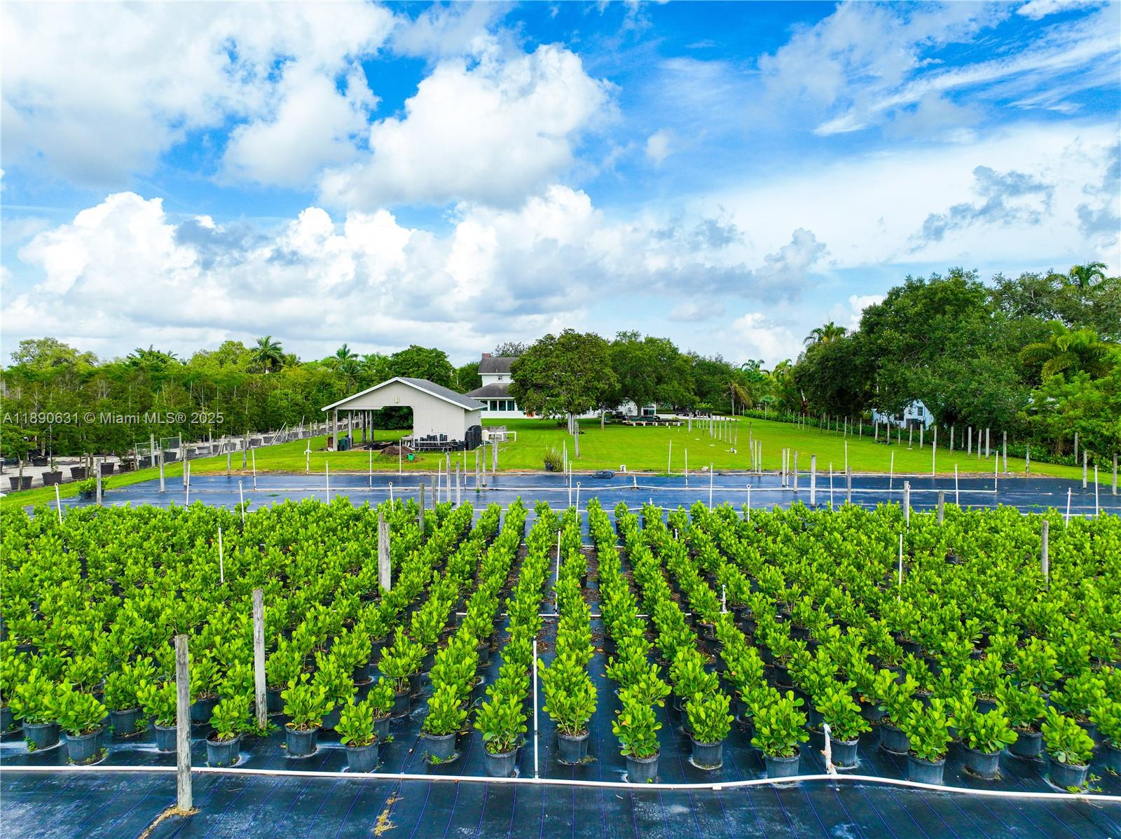 Подробнее / кв.футов $ 2025-10-05 0 Фото