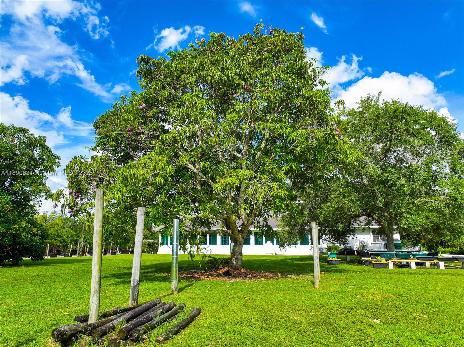 Подробнее / кв.футов $ 2025-10-05 0 Фото