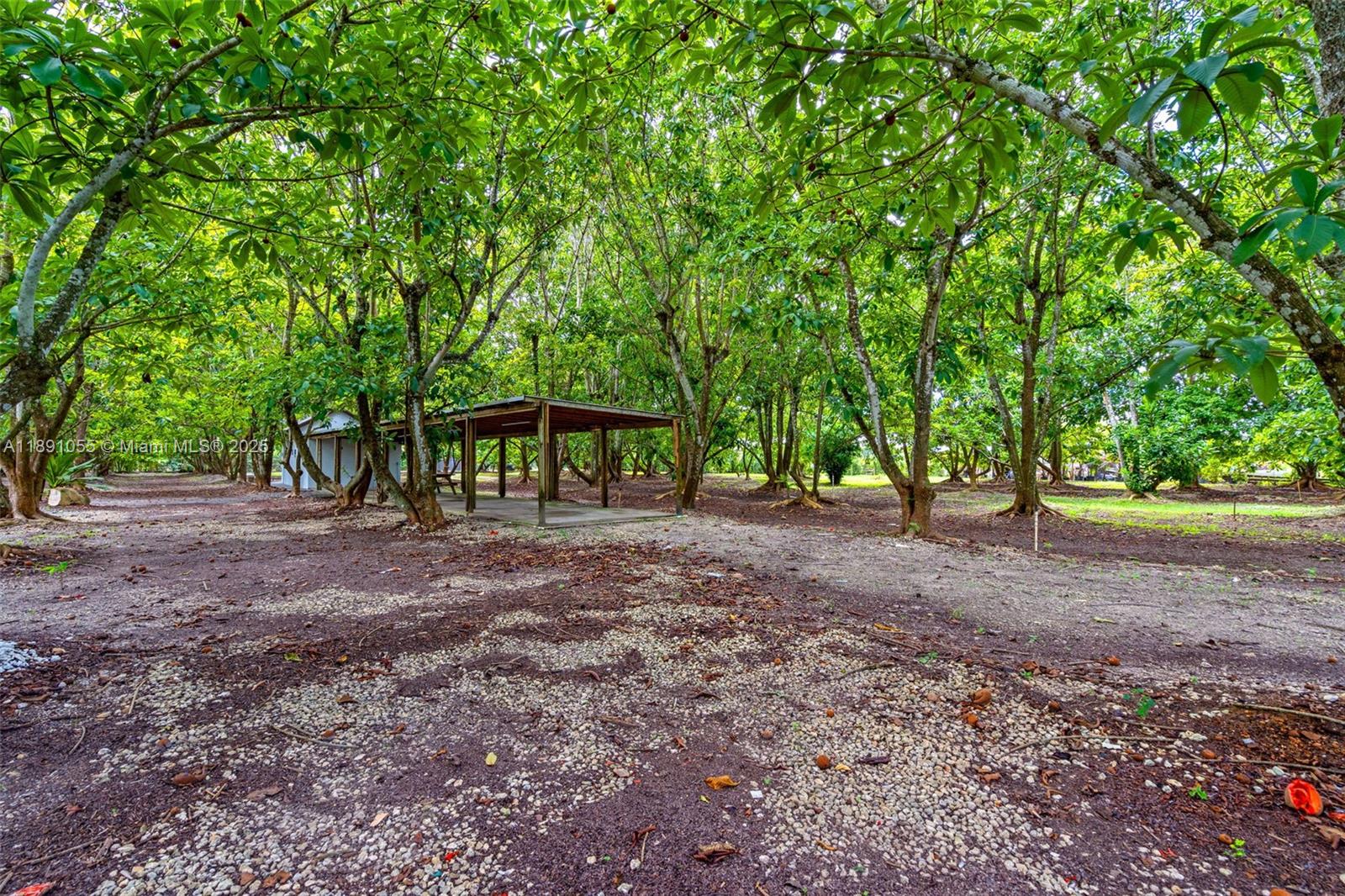 See details   /   sq. ft. $ 2025-10-06 0 Photo