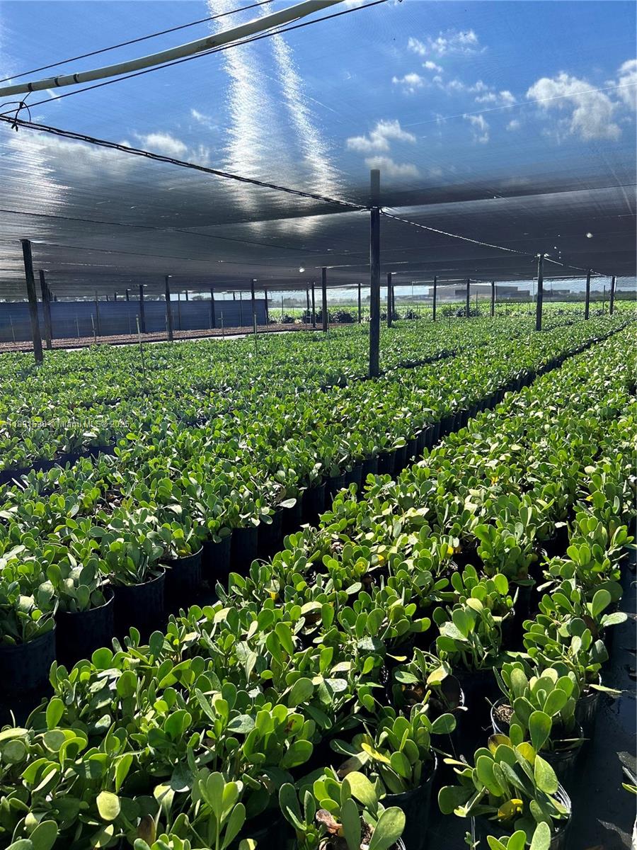 Подробнее / кв.футов $ 2025-10-07 0 Фото