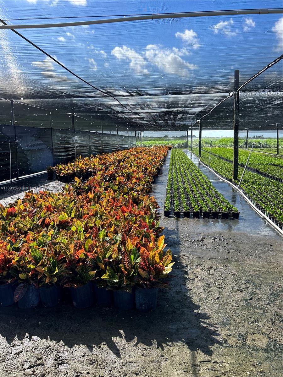 Подробнее / кв.футов $ 2025-10-07 0 Фото