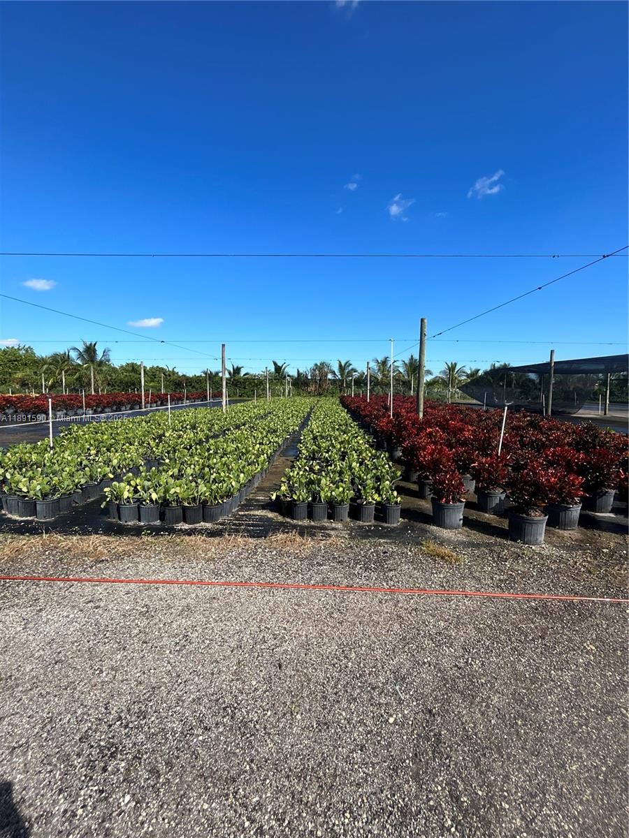 Подробнее / кв.футов $ 2025-10-07 0 Фото