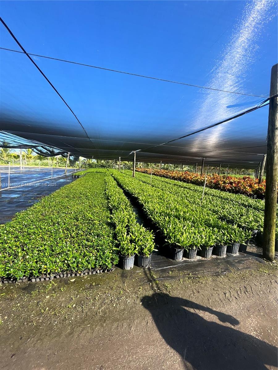 Подробнее / кв.футов $ 2025-10-07 0 Фото