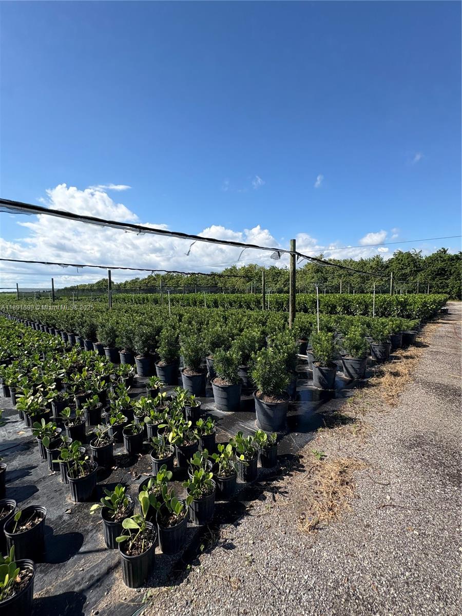 Подробнее / кв.футов $ 2025-10-07 0 Фото