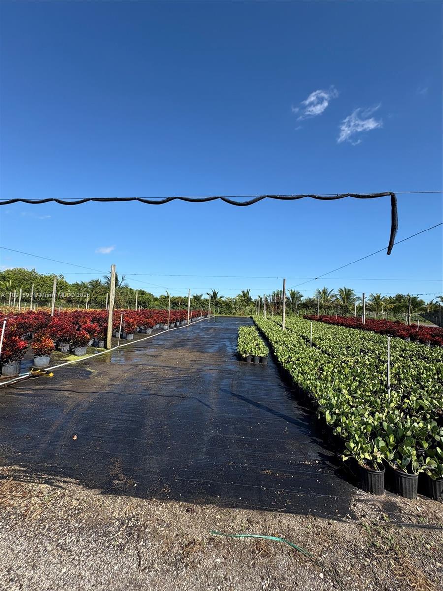 Подробнее / кв.футов $ 2025-10-07 0 Фото