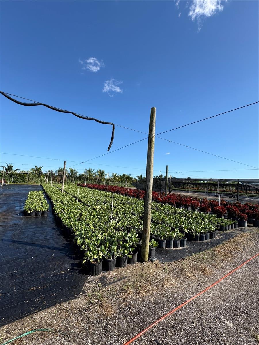 Подробнее / кв.футов $ 2025-10-07 0 Фото